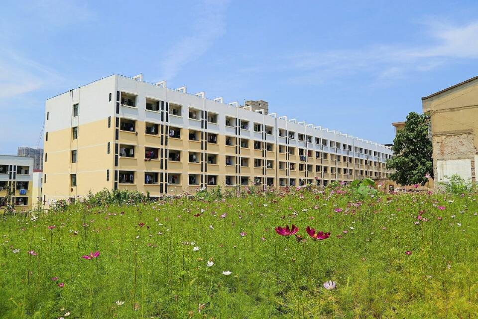图书馆
