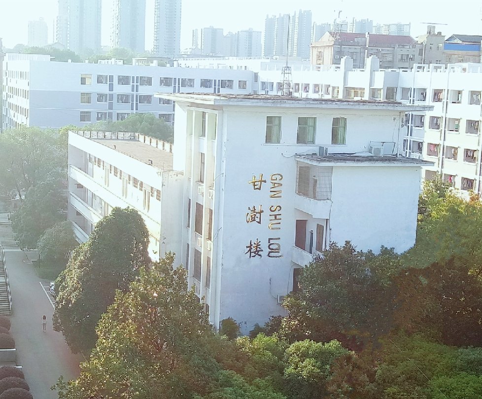 体育馆
